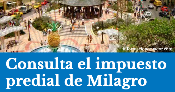 consultar-el-impuesto-a-la-propiedad-milagrosa
