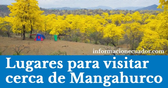 mangahurco-zapotillo-floração-guayacanes