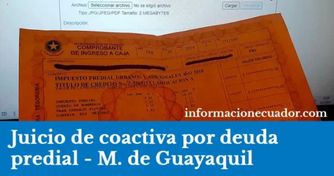 deuda-coactiva-municipal-proceso-titularidad-guayaquil