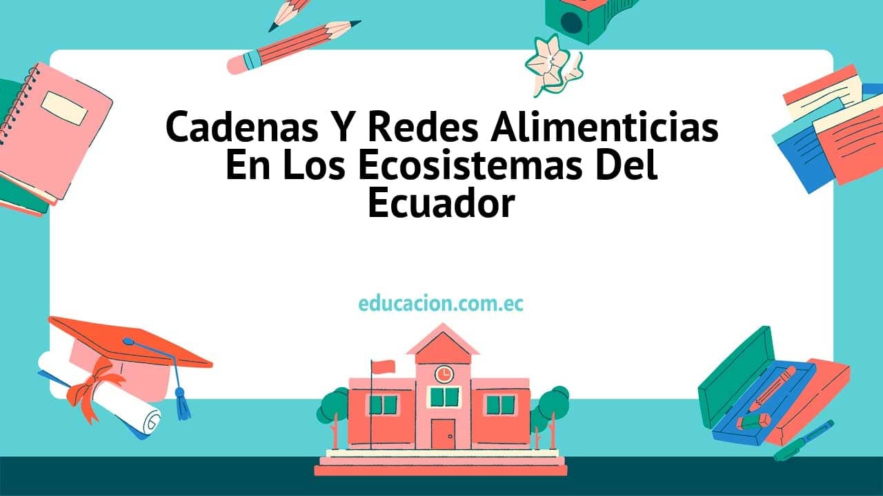 Cadenas Y Redes Alimenticias En Los Ecosistemas Del Ecuador