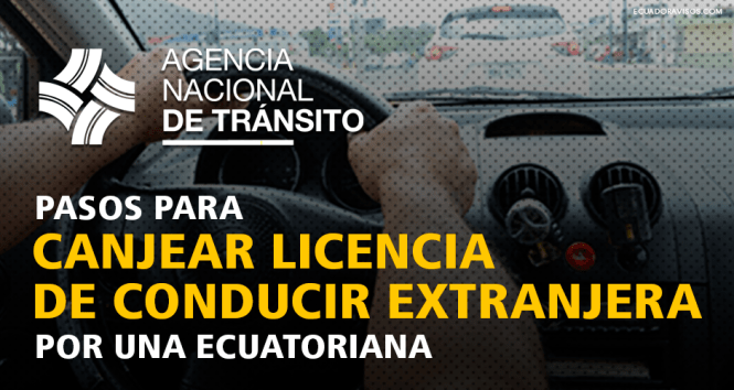 intercambio-de-licencia-de-conducir-extranjera-por-una-hormiga-ecuatoriana-gob-ec